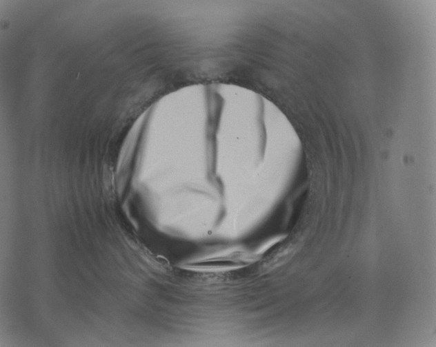 X0000074210624200609151558