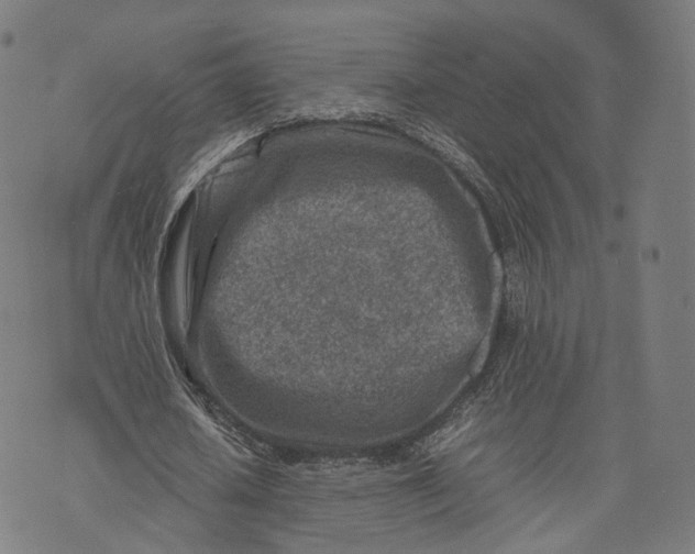 X0000074210626200609151557