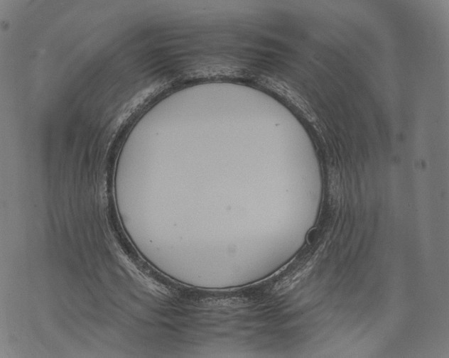 X0000074210629200609151557