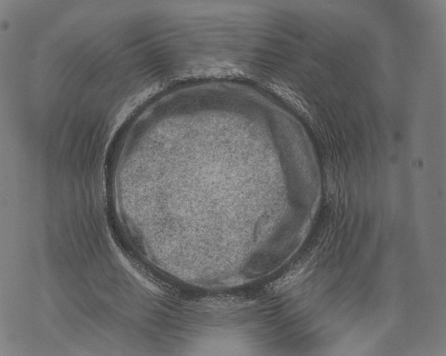 X0000074210630200609151557