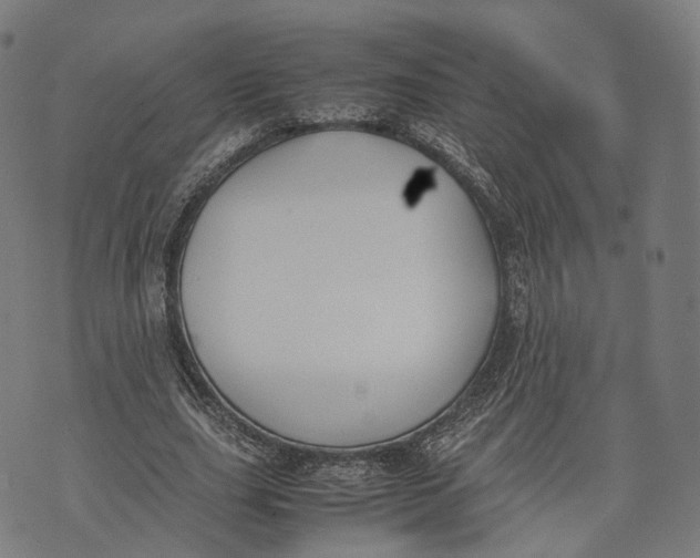 X0000074210631200609151557