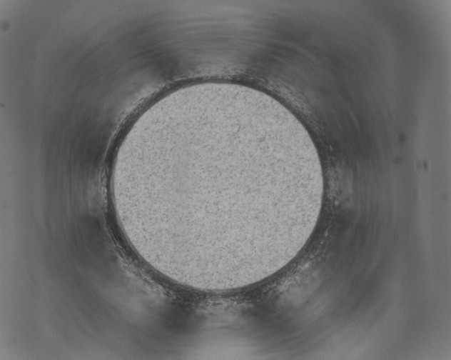 X0000074210632200609151557