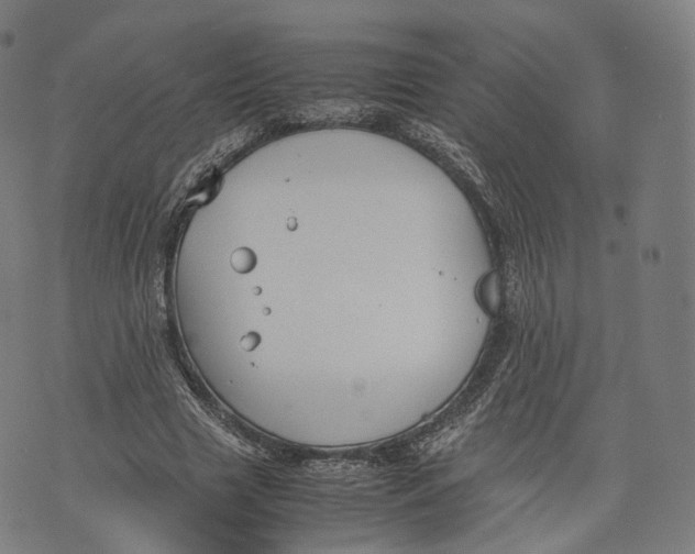 X0000074210633200609151557