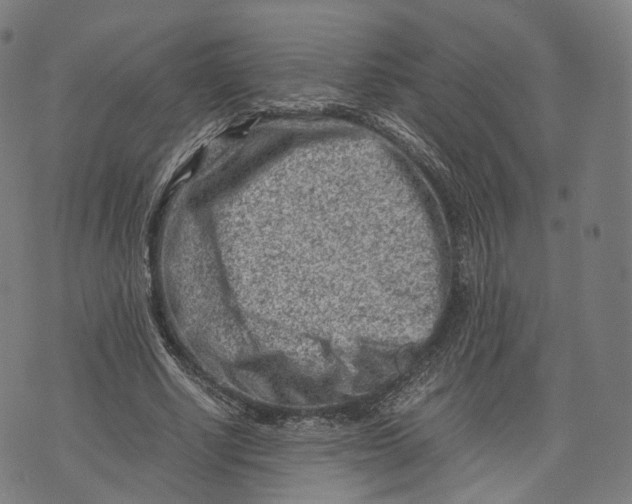 X0000074210634200609151557