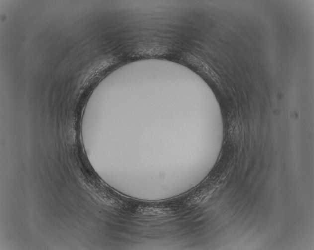 X0000074210635200609151557