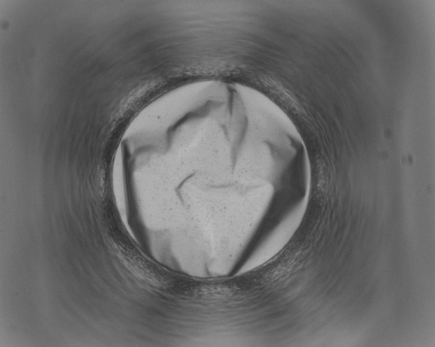 X0000074210636200609151557