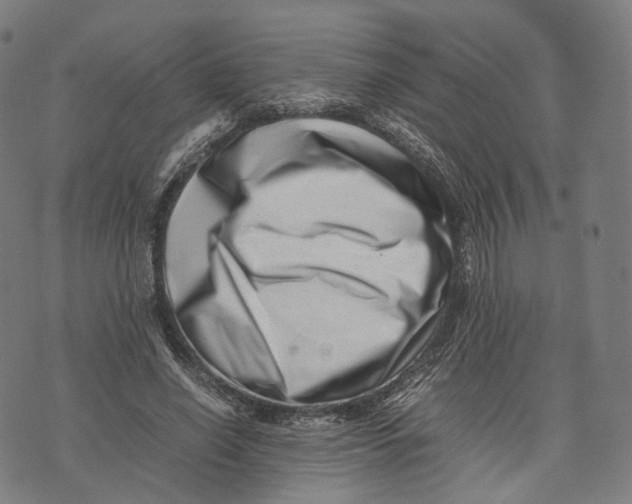 X0000074210638200609151557