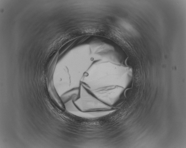 X0000074210639200609151557