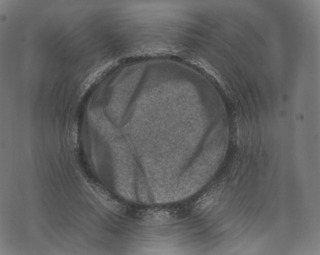 X0000074210640200609151557