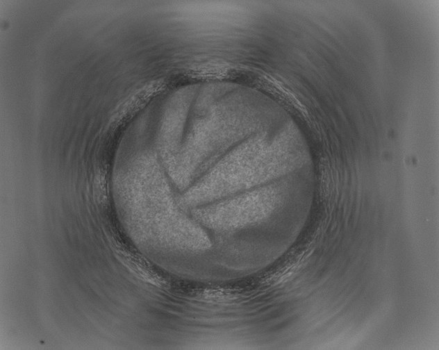 X0000074210641200609151557