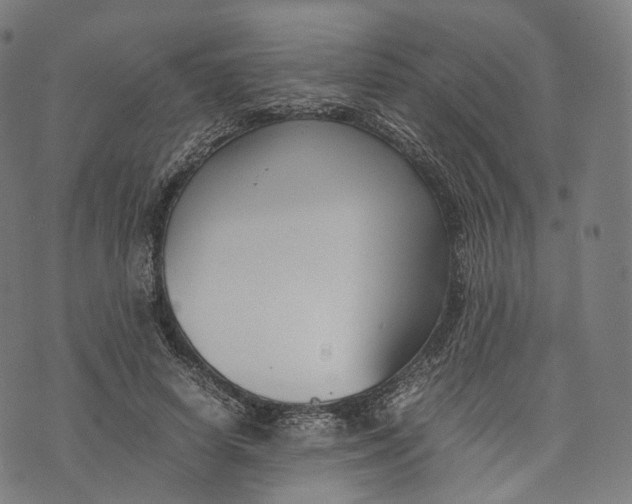 X0000074210642200609151557