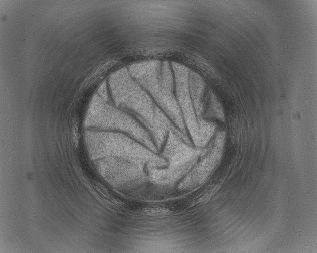 X0000074210644200609151557