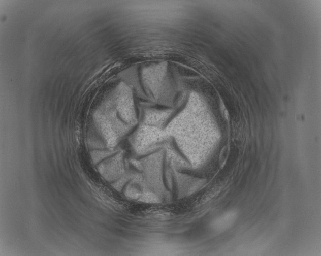 X0000074210648200609151557