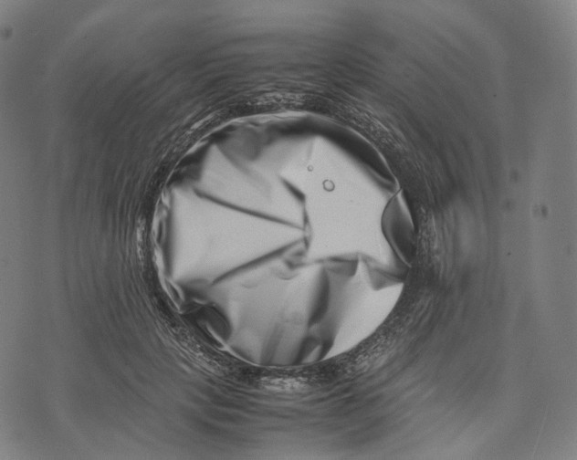 X0000074210649200609151557