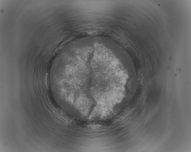 X0000074210650200609151557