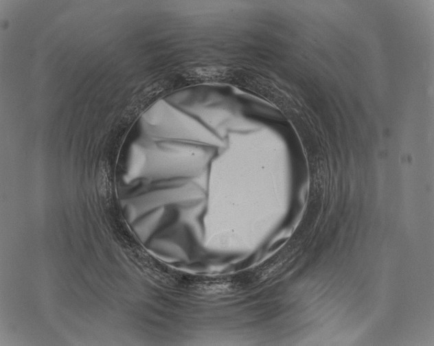 X0000074210651200609151557