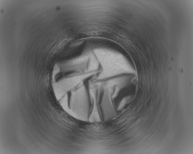 X0000074210652200609151557