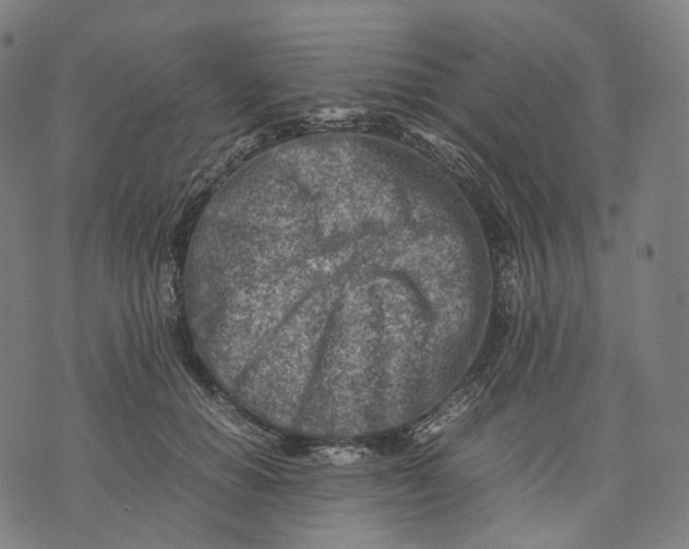 X0000074210654200609151557