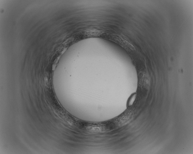 X0000074210655200609151557