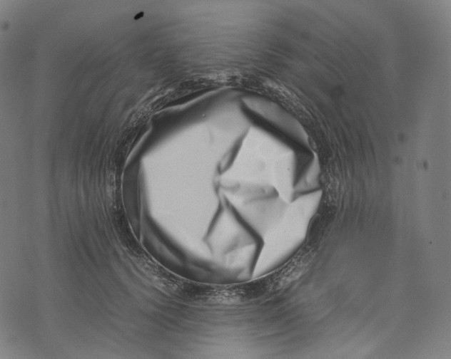 X0000074210656200609151557