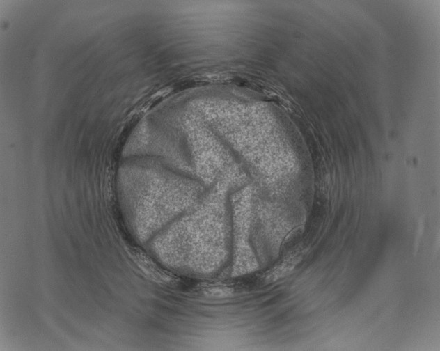 X0000074210658200609151557