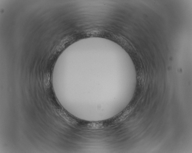 X0000074210660200609151557