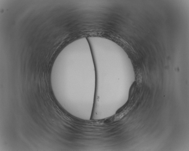 X0000074210661200609151557