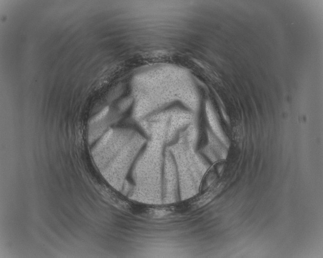 X0000074210662200609151557