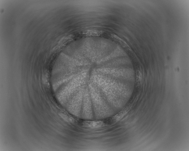 X0000074210663200609151557