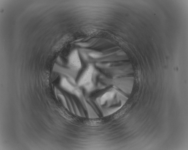 X0000074210664200609151557