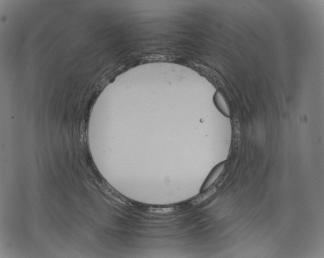 X0000074210665200609151557