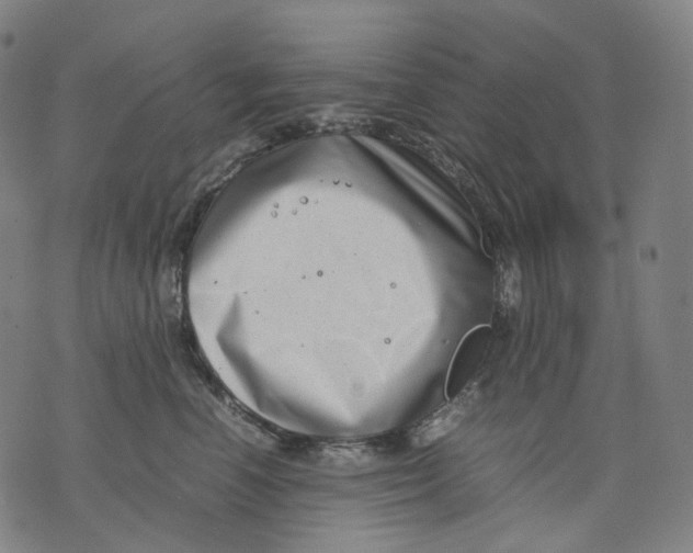 X0000074210666200609151557