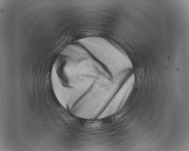 X0000074210667200609151557