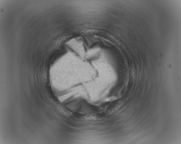 X0000074210668200609151557