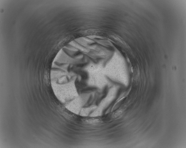 X0000074210669200609151557