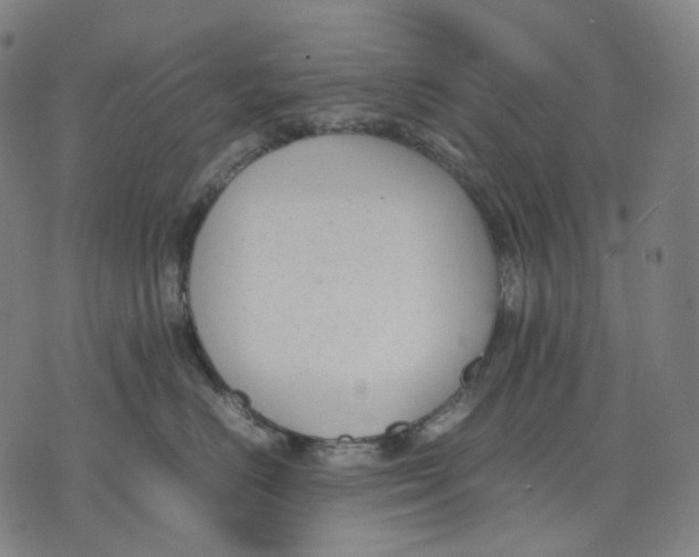 X0000074210670200609151557