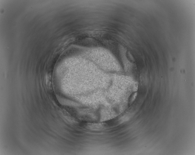 X0000074210671200609151557