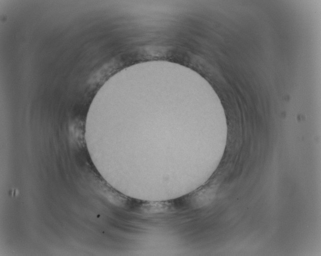 X0000074210672200609151557