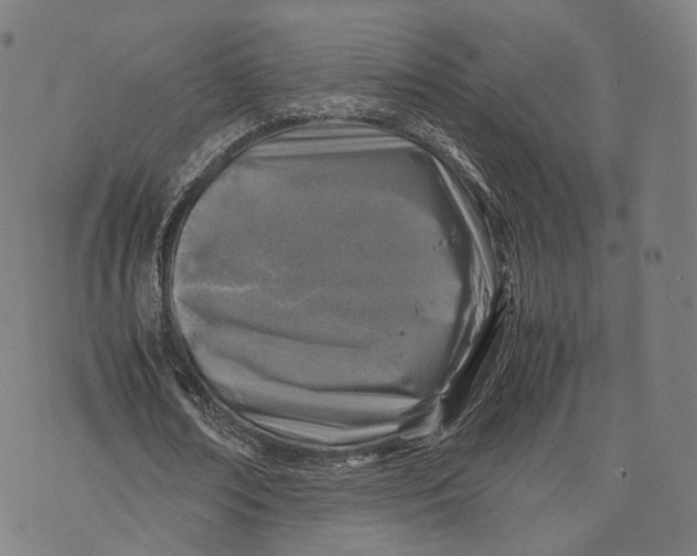 X0000074210674200609151557