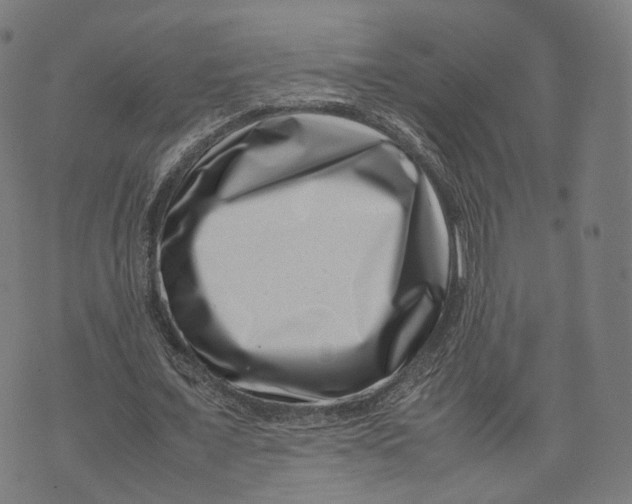 X0000074210675200609151557