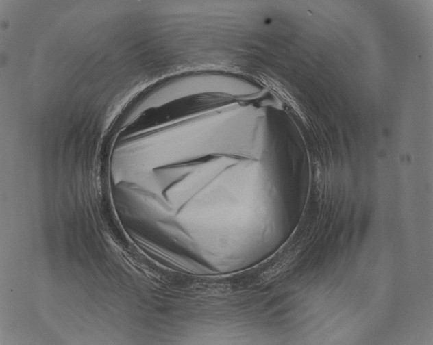 X0000074210676200609151557