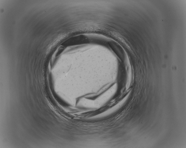 X0000074210677200609151557