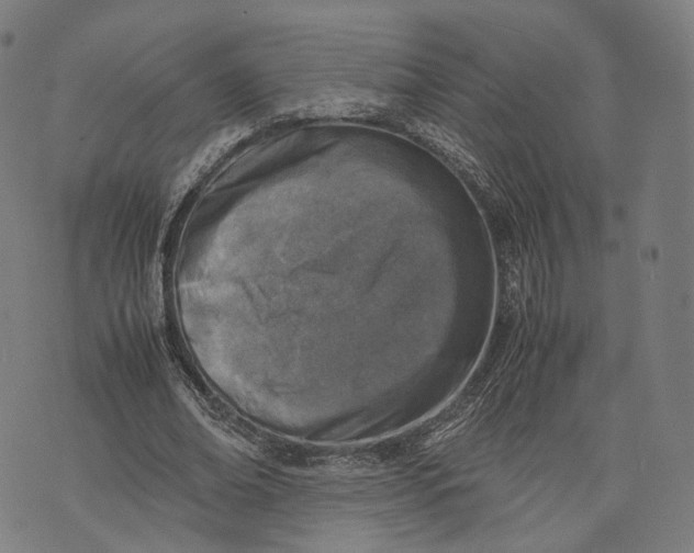 X0000074210678200609151557