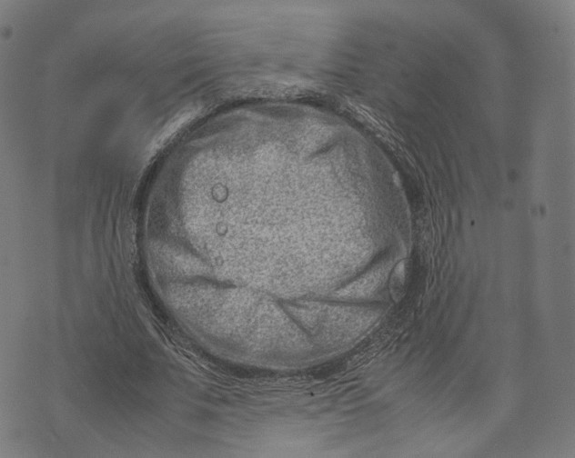 X0000074210679200609151557