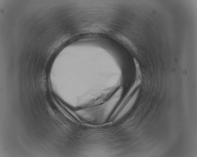 X0000074210680200609151557