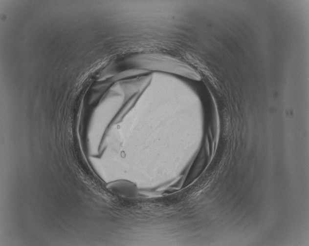 X0000074210681200609151557