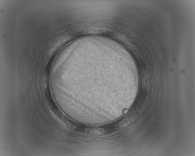 X0000074210683200609151557