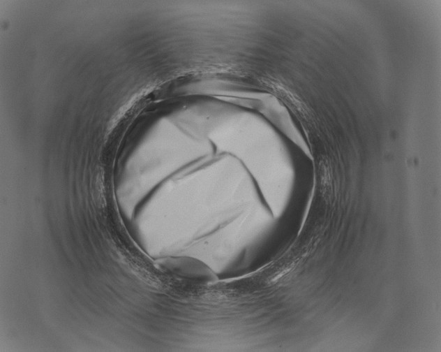 X0000074210684200609151557