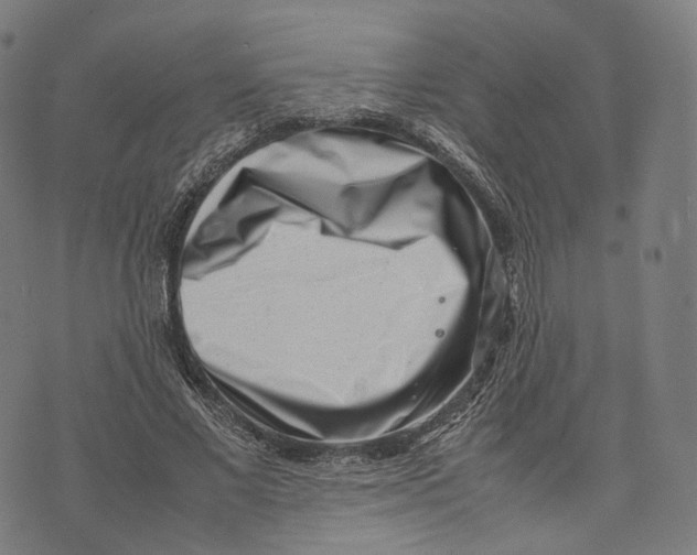 X0000074210685200609151557