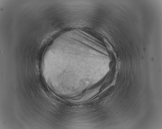 X0000074210688200609151556